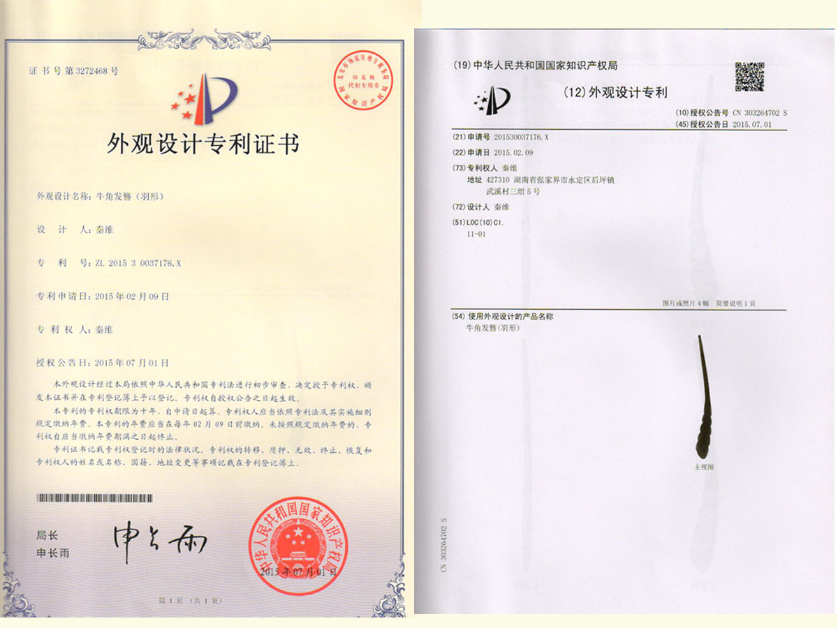 牛角發(fā)簪（羽形）專利證書