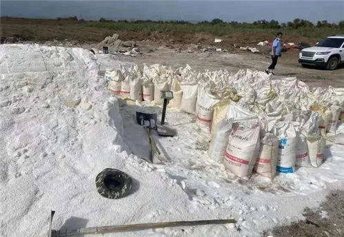 假鹽泛濫，五百余噸地下鹽場被摧毀