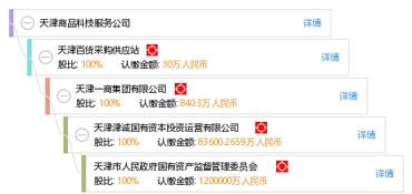 天津商品科技服務公司的軟件開發實踐與創新探索